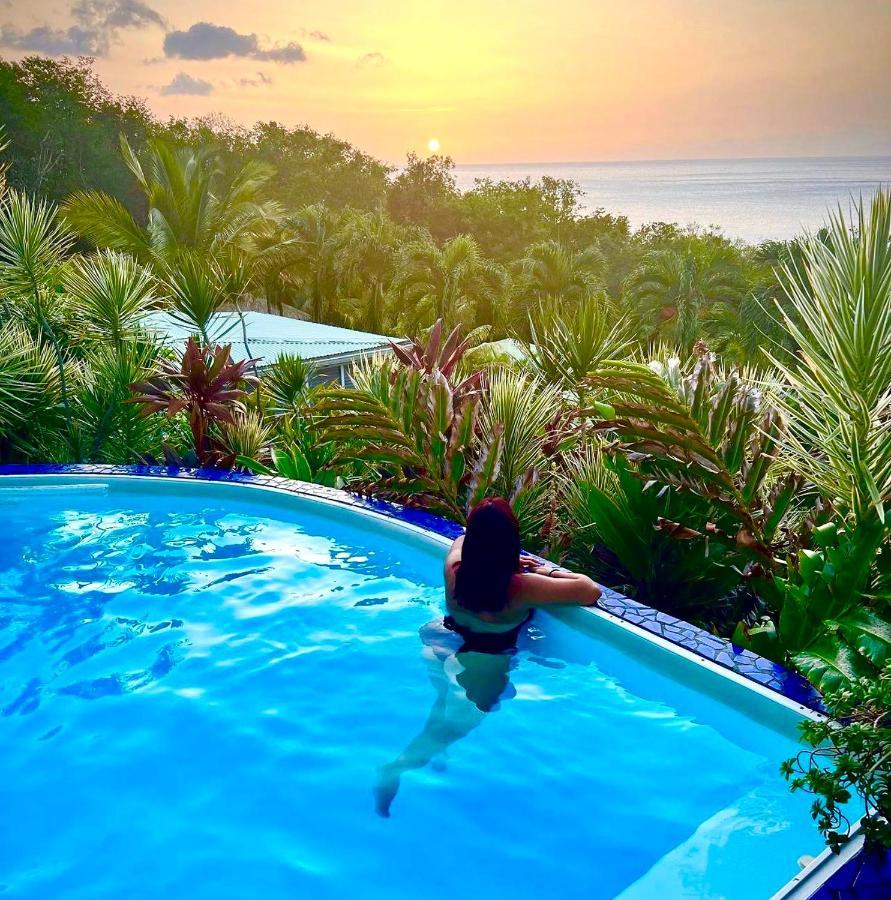 Vue Mer/3Beds/Piscine/Wifi/900 Metres De La Plage Deshaies Exterior photo